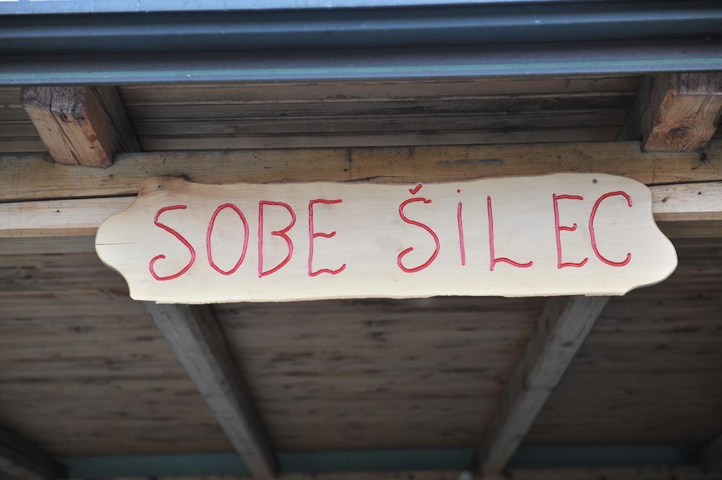 Apartment Silec Smarje pri Jelsah Eksteriør bilde